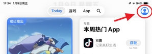 Apple账号登录